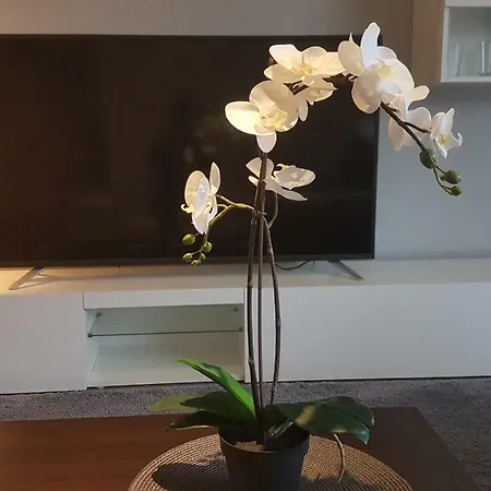 Deluxe * Nettetal